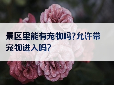 景区里能有宠物吗？允许带宠物进入吗？
