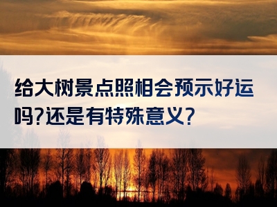 给大树景点照相会预示好运吗？还是有特殊意义？