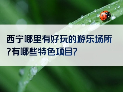 西宁哪里有好玩的游乐场所？有哪些特色项目？