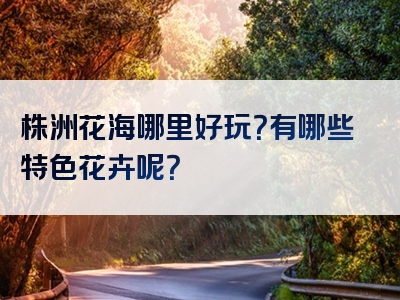 株洲花海哪里好玩？有哪些特色花卉呢？