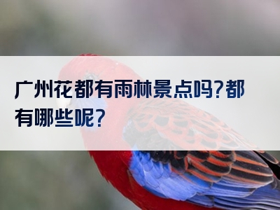 广州花都有雨林景点吗？都有哪些呢？