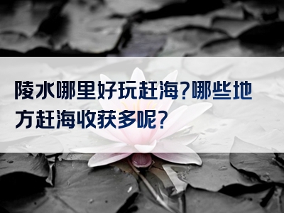 陵水哪里好玩赶海？哪些地方赶海收获多呢？