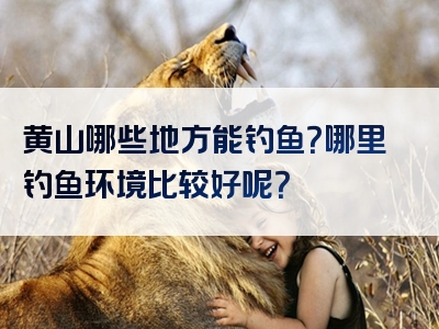 黄山哪些地方能钓鱼？哪里钓鱼环境比较好呢？