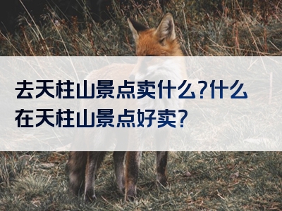 去天柱山景点卖什么？什么在天柱山景点好卖？