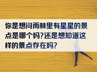你是想问雨林里有星星的景点是哪个吗？还是想知道这样的景点存在吗？