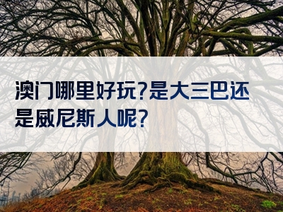澳门哪里好玩？是大三巴还是威尼斯人呢？