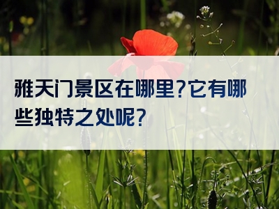 雅天门景区在哪里？它有哪些独特之处呢？