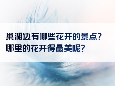 巢湖边有哪些花开的景点？哪里的花开得最美呢？