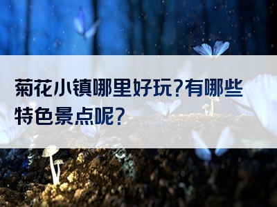 菊花小镇哪里好玩？有哪些特色景点呢？