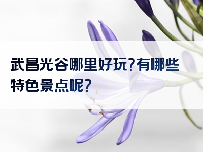 武昌光谷哪里好玩？有哪些特色景点呢？