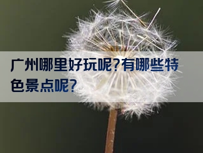 广州哪里好玩呢？有哪些特色景点呢？