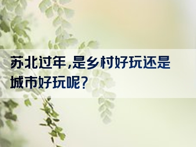 苏北过年，是乡村好玩还是城市好玩呢？