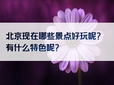 北京现在哪些景点好玩呢？有什么特色呢？