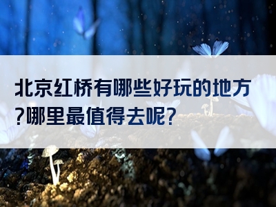 北京红桥有哪些好玩的地方？哪里最值得去呢？
