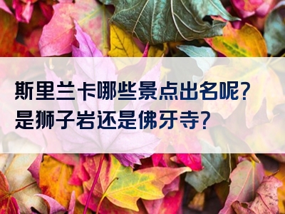 斯里兰卡哪些景点出名呢？是狮子岩还是佛牙寺？