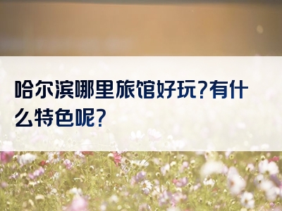 哈尔滨哪里旅馆好玩？有什么特色呢？