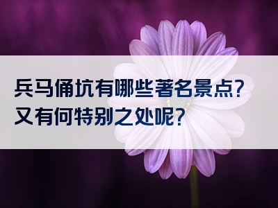 兵马俑坑有哪些著名景点？又有何特别之处呢？