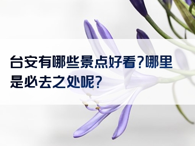 台安有哪些景点好看？哪里是必去之处呢？