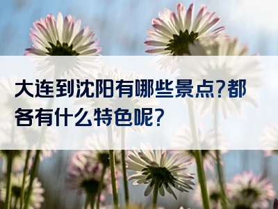 大连到沈阳有哪些景点？都各有什么特色呢？