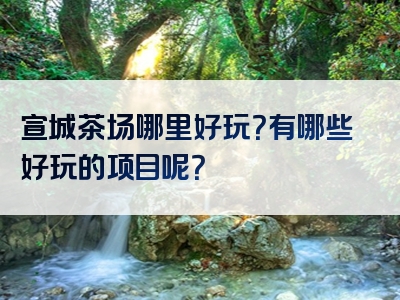 宣城茶场哪里好玩？有哪些好玩的项目呢？