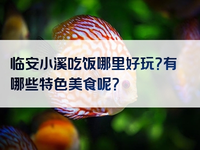 临安小溪吃饭哪里好玩？有哪些特色美食呢？