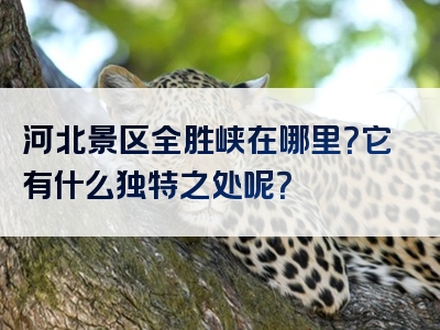 河北景区全胜峡在哪里？它有什么独特之处呢？