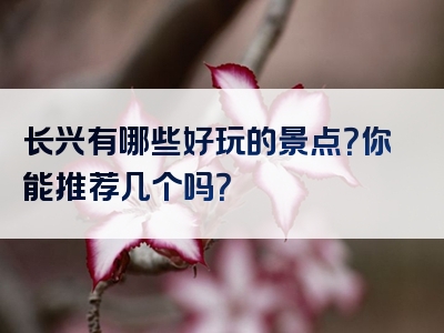长兴有哪些好玩的景点？你能推荐几个吗？