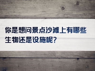 你是想问景点沙滩上有哪些生物还是设施呢？