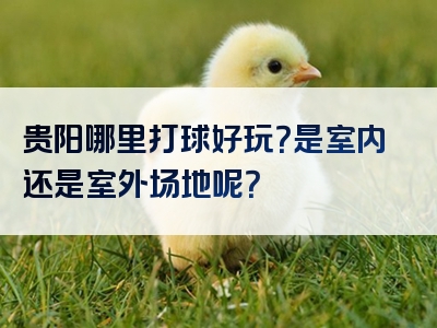 贵阳哪里打球好玩？是室内还是室外场地呢？