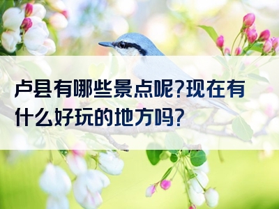 卢县有哪些景点呢？现在有什么好玩的地方吗？