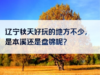 辽宁秋天好玩的地方不少，是本溪还是盘锦呢？