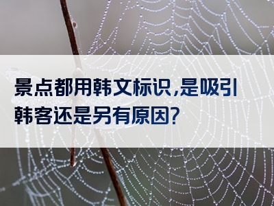 景点都用韩文标识，是吸引韩客还是另有原因？