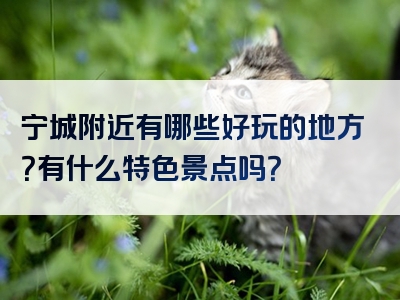 宁城附近有哪些好玩的地方？有什么特色景点吗？