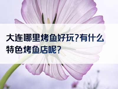 大连哪里烤鱼好玩？有什么特色烤鱼店呢？
