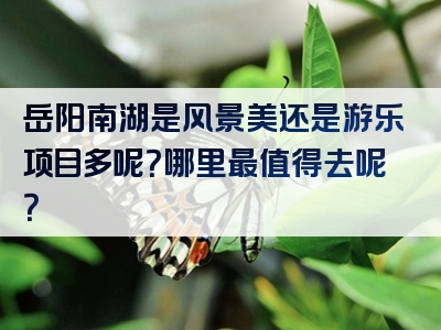 岳阳南湖是风景美还是游乐项目多呢？哪里最值得去呢？