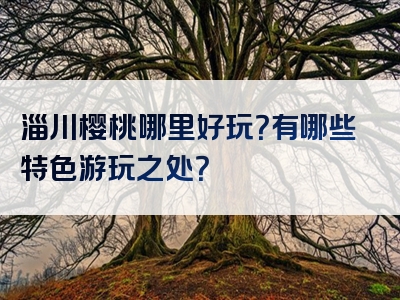 淄川樱桃哪里好玩？有哪些特色游玩之处？