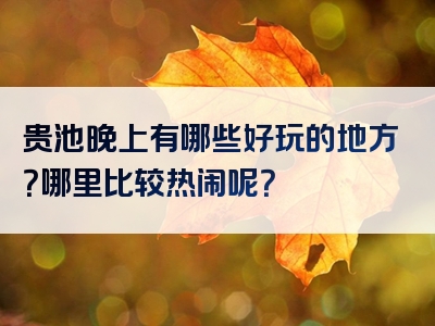贵池晚上有哪些好玩的地方？哪里比较热闹呢？