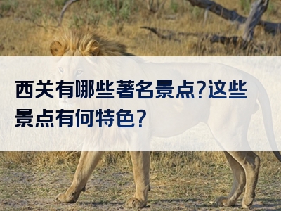 西关有哪些著名景点？这些景点有何特色？