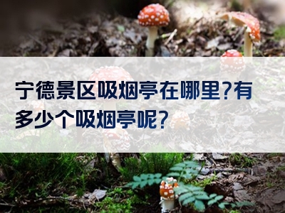 宁德景区吸烟亭在哪里？有多少个吸烟亭呢？