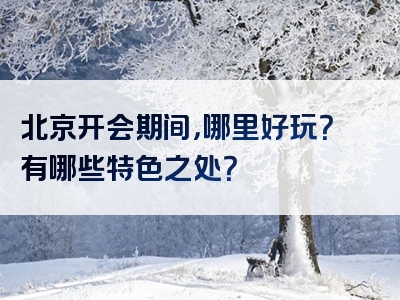 北京开会期间，哪里好玩？有哪些特色之处？