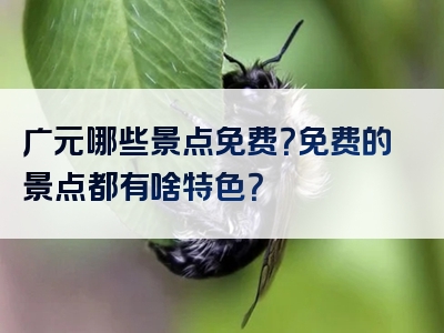 广元哪些景点免费？免费的景点都有啥特色？