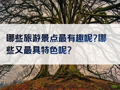 哪些旅游景点最有趣呢？哪些又最具特色呢？
