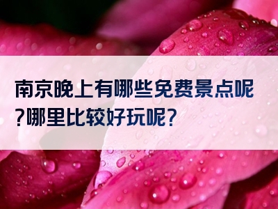 南京晚上有哪些免费景点呢？哪里比较好玩呢？
