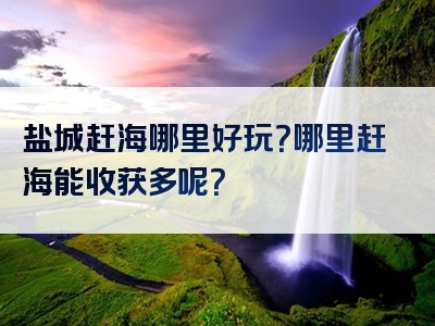 盐城赶海哪里好玩？哪里赶海能收获多呢？
