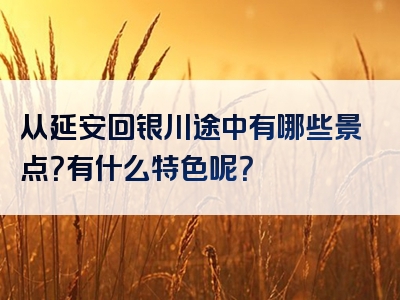 从延安回银川途中有哪些景点？有什么特色呢？
