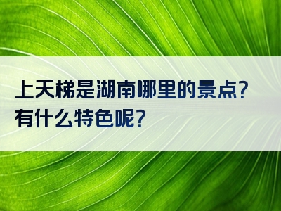 上天梯是湖南哪里的景点？有什么特色呢？