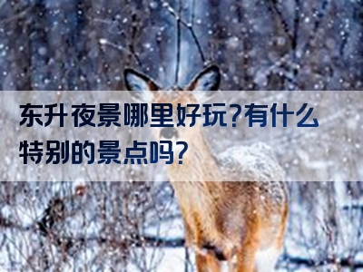 东升夜景哪里好玩？有什么特别的景点吗？