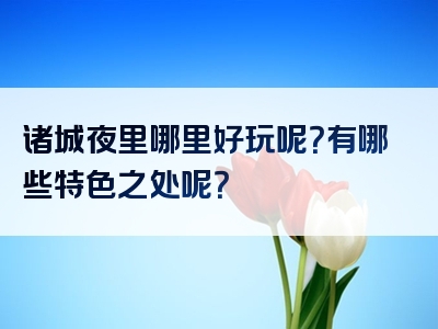 诸城夜里哪里好玩呢？有哪些特色之处呢？