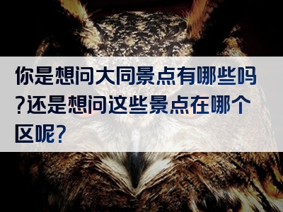 你是想问大同景点有哪些吗？还是想问这些景点在哪个区呢？
