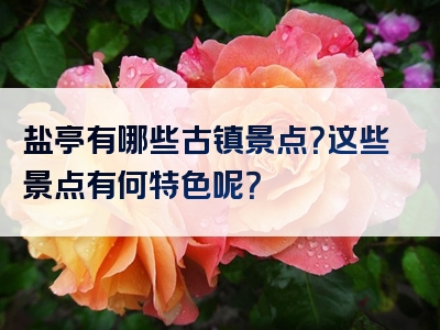 盐亭有哪些古镇景点？这些景点有何特色呢？